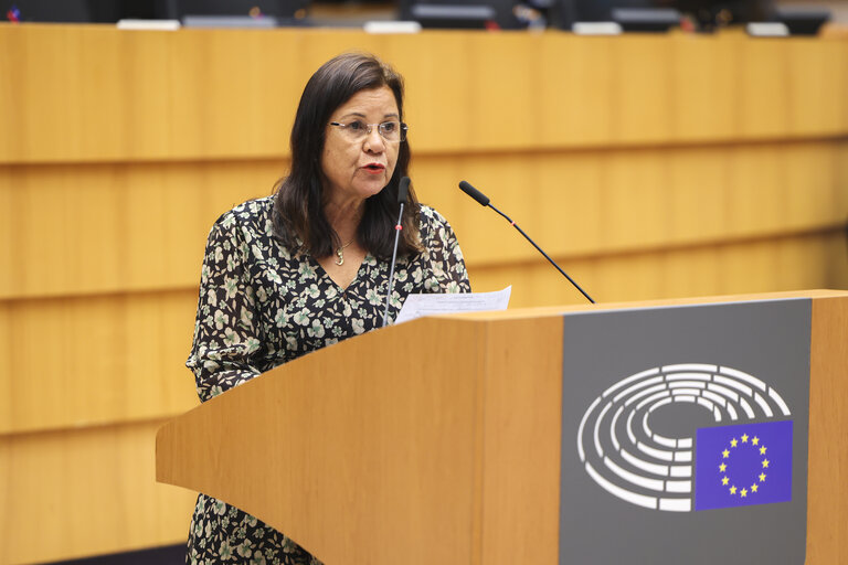 EP Mini-Plenary Session - Amending the EU Regulation 2023/965 as regards simplifying and strengthening the Carbon Border Adjustment Mechanism