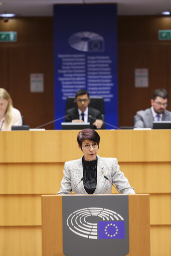 EP Mini-Plenary Session - Improving mental health at work