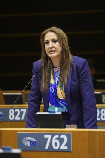 EP Mini-Plenary Session - Improving mental health at work
