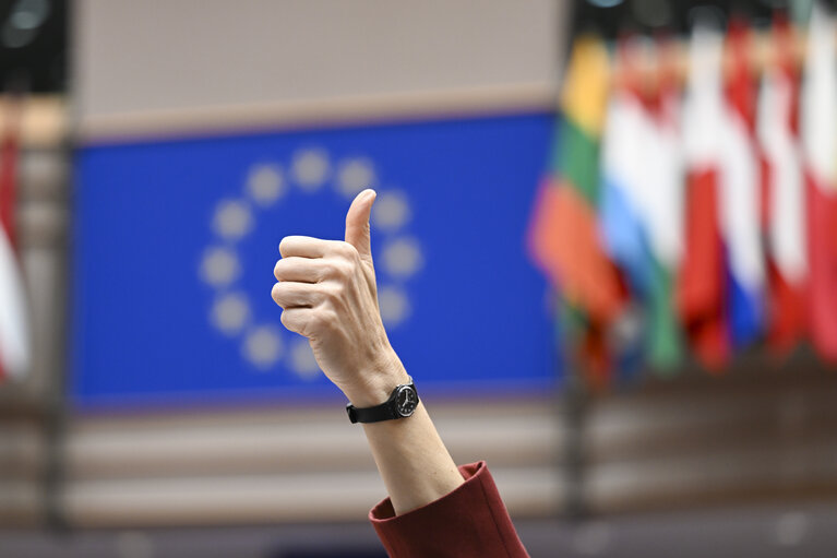 Photo 13: EP Mini-Plenary Session - Voting session