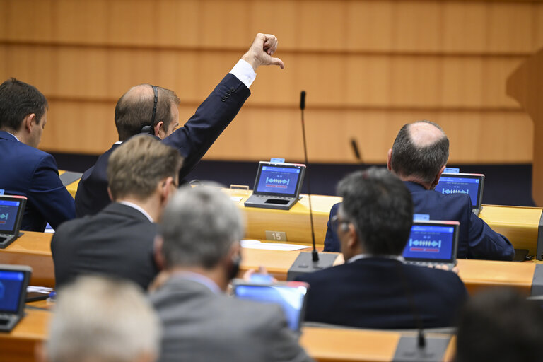 Photo 21: EP Mini-Plenary Session - Voting session