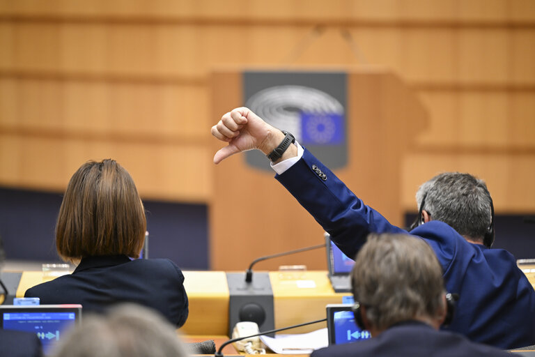 Photo 16: EP Mini-Plenary Session - Voting session