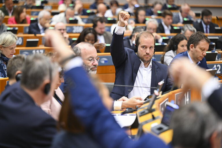 EP Mini-Plenary Session - Voting session