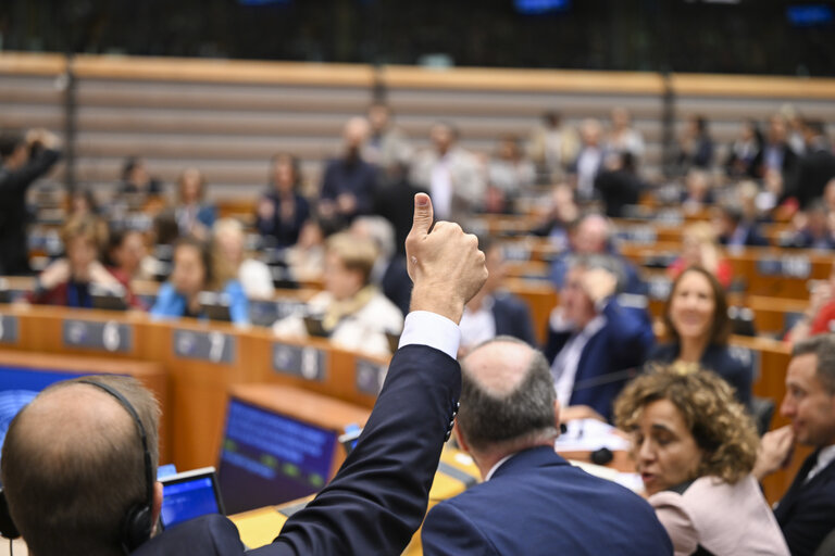 Photo 30: EP Mini-Plenary Session - Voting session