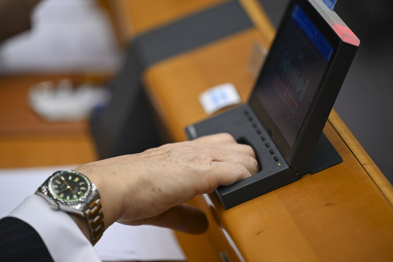 Photo 15: EP Mini-Plenary Session - Voting session