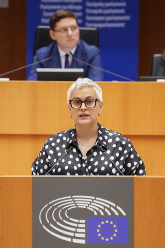 Foto 12: EP Mini-Plenary Session - Deliberations of the Committee on Petitions in 2023