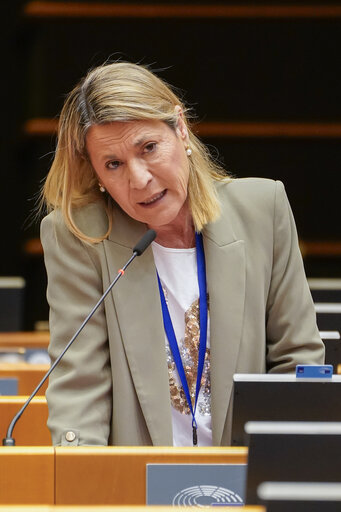 Foto 10: EP Mini-Plenary Session - Deliberations of the Committee on Petitions in 2023