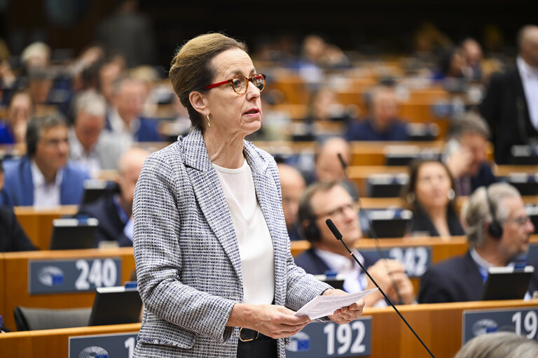 EP Mini-Plenary Session - Voting session