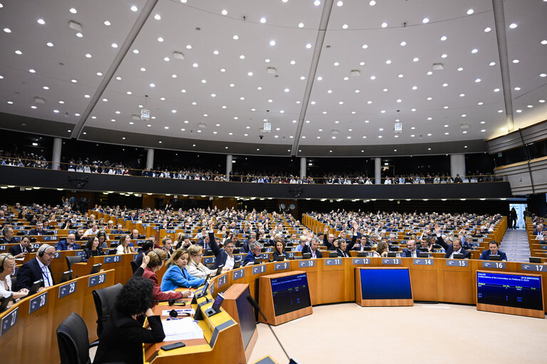 EP Mini-Plenary Session - Voting session