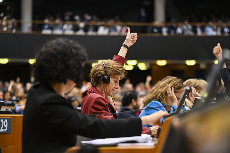 EP Mini-Plenary Session - Voting session
