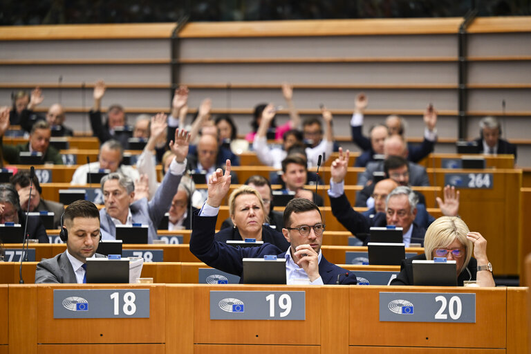 EP Mini-Plenary Session - Voting session