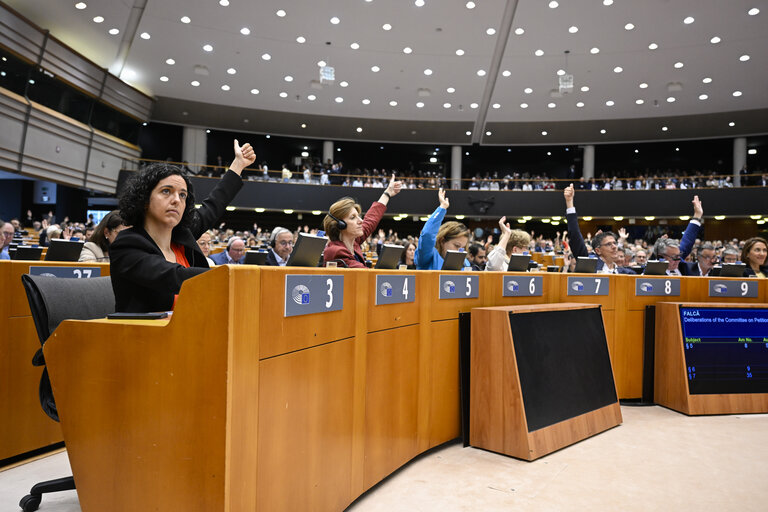 EP Mini-Plenary Session - Voting session