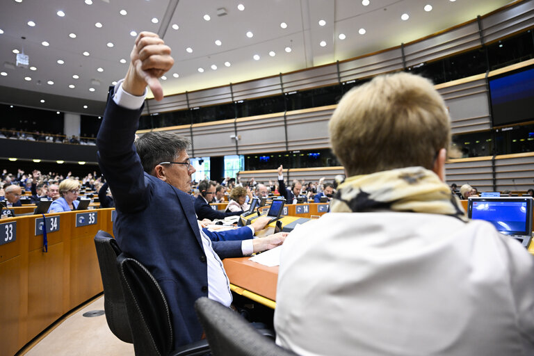 EP Mini-Plenary Session - Voting session