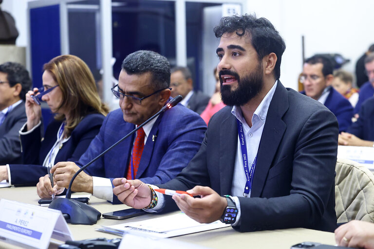 EUROLAT - Delegation to the Euro-Latin American Parliamentary Assembly - 16th ordinary plenary session in Lima, Peru