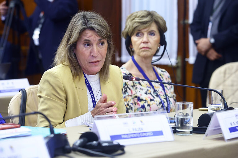 EUROLAT - Delegation to the Euro-Latin American Parliamentary Assembly - 16th ordinary plenary session in Lima, Peru