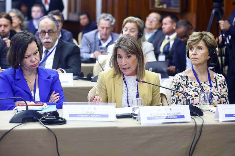 EUROLAT - Delegation to the Euro-Latin American Parliamentary Assembly - 16th ordinary plenary session in Lima, Peru
