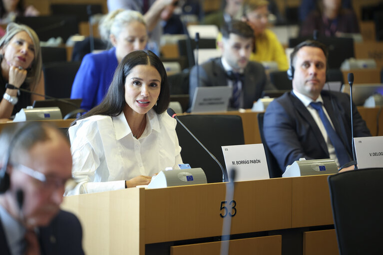 Foto 2: AGRI Committee meeting - Election of the 4th Vice-Chair