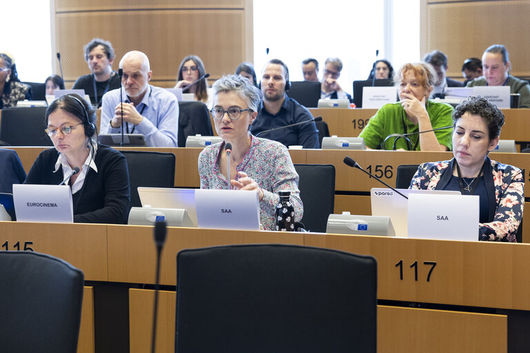 Photo 6: JURI - Policy Department presentation of the study and Workshop on Generative AI and Copyright