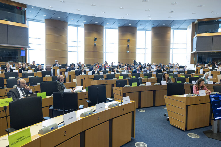 Photo 3: JURI - Policy Department presentation of the study and Workshop on Generative AI and Copyright
