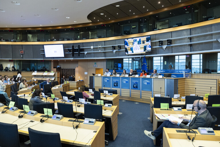 Photo 1: JURI - Policy Department presentation of the study and Workshop on Generative AI and Copyright