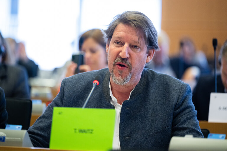 AFET Committee - Votes
