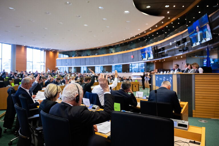 AFET Committee - Votes