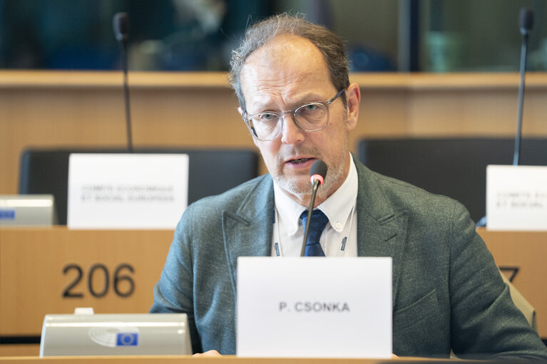 JURI - Inter-Parliamentary Committee Meeting - Implementation of the Directive on the Protection of the Environment through Criminal Law