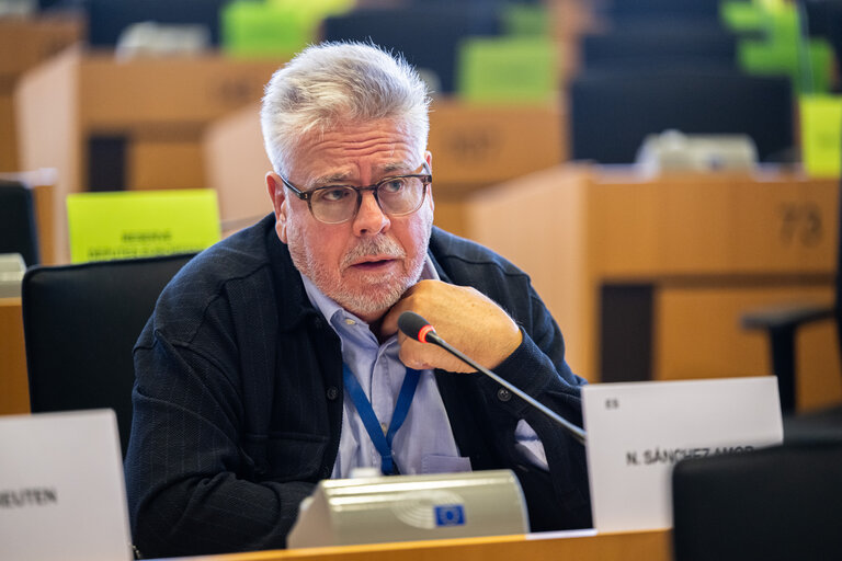 AFET - Exchange of views with Stefano Sannino, Acting Director-General for Middle East, North Africa and the Gulf, European Commission