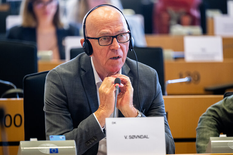 AFET - Exchange of views with Stefano Sannino, Acting Director-General for Middle East, North Africa and the Gulf, European Commission