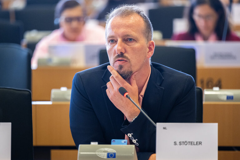 AFET - Exchange of views with Stefano Sannino, Acting Director-General for Middle East, North Africa and the Gulf, European Commission