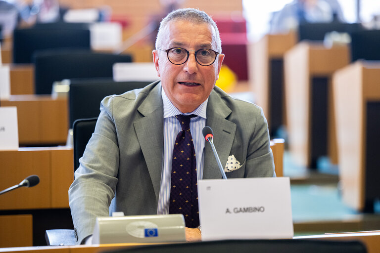 AFET - Exchange of views with Stefano Sannino, Acting Director-General for Middle East, North Africa and the Gulf, European Commission