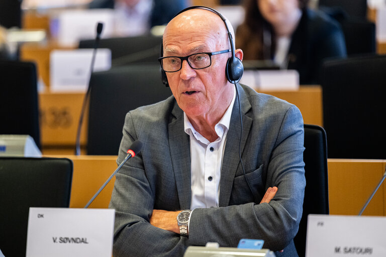 AFET - Exchange of views with Stefano Sannino, Acting Director-General for Middle East, North Africa and the Gulf, European Commission