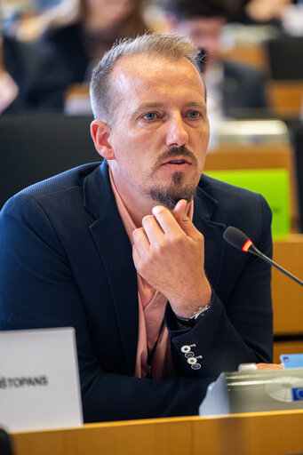 AFET - Exchange of views with Stefano Sannino, Acting Director-General for Middle East, North Africa and the Gulf, European Commission