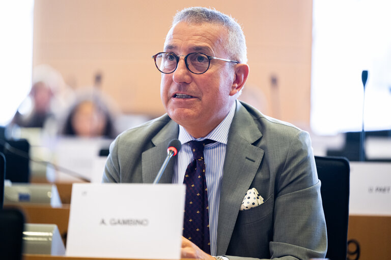 AFET - Exchange of views with Stefano Sannino, Acting Director-General for Middle East, North Africa and the Gulf, European Commission
