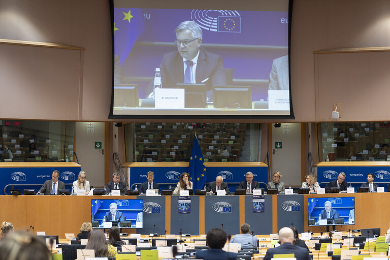 Photo 13: LIBE - Organised crime and its impact on internal security