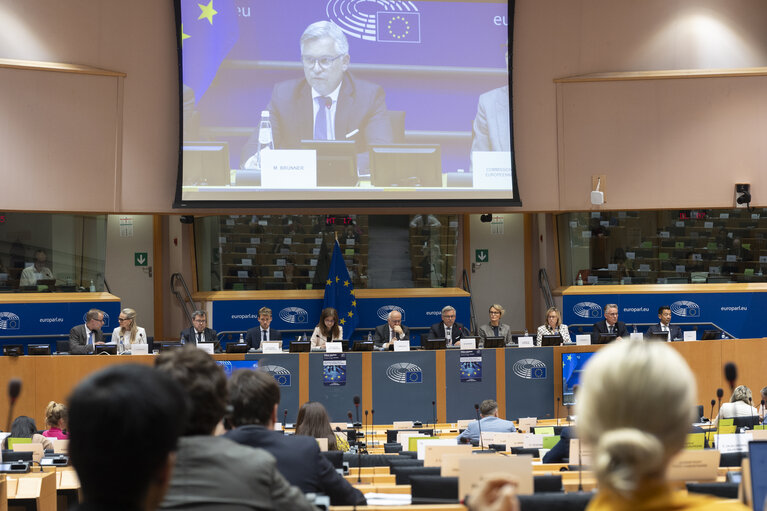 Photo 12: LIBE - Organised crime and its impact on internal security