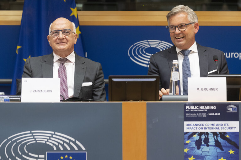 Photo 27: LIBE - Organised crime and its impact on internal security