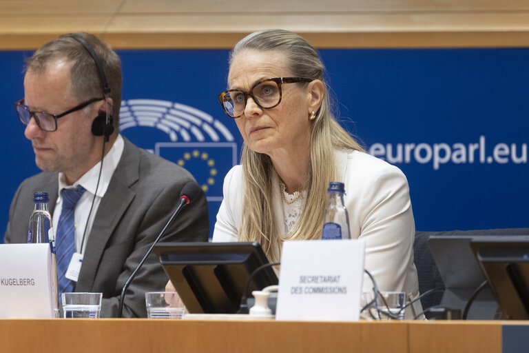 Photo 9: LIBE - Organised crime and its impact on internal security