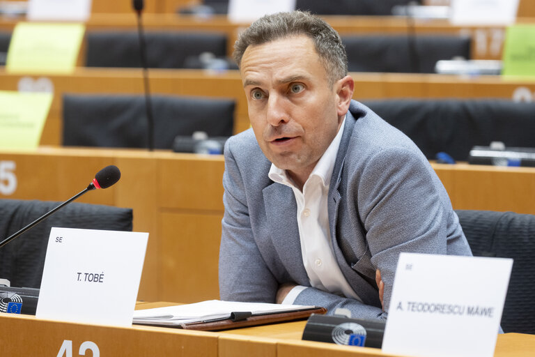 Photo 5: LIBE - Organised crime and its impact on internal security