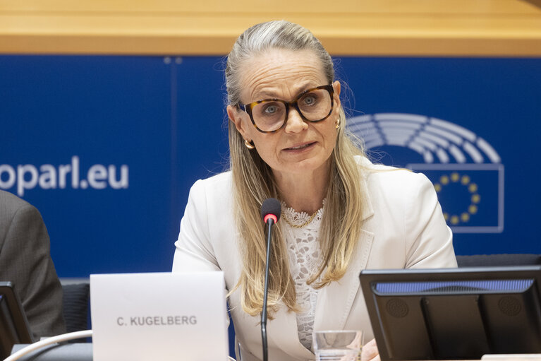 Photo 7: LIBE - Organised crime and its impact on internal security