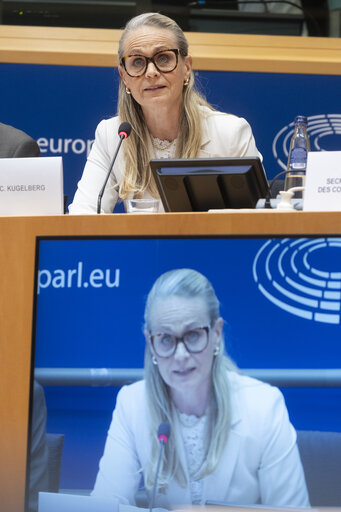 Photo 6: LIBE - Organised crime and its impact on internal security