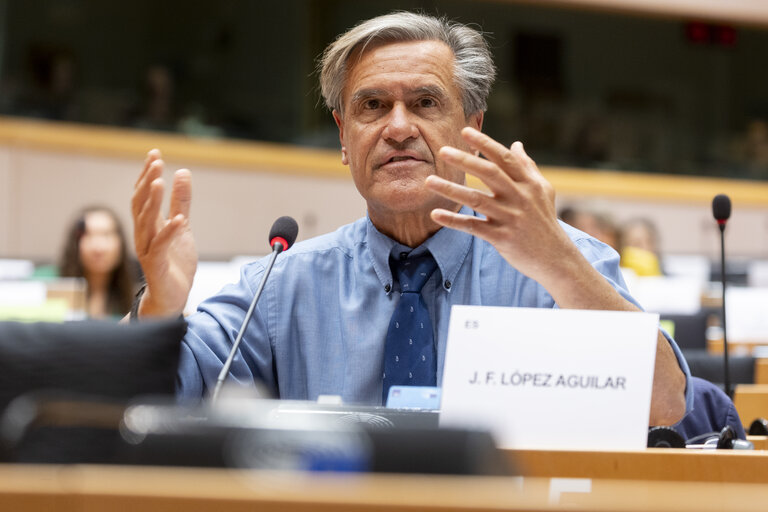 Photo 1: LIBE - Organised crime and its impact on internal security