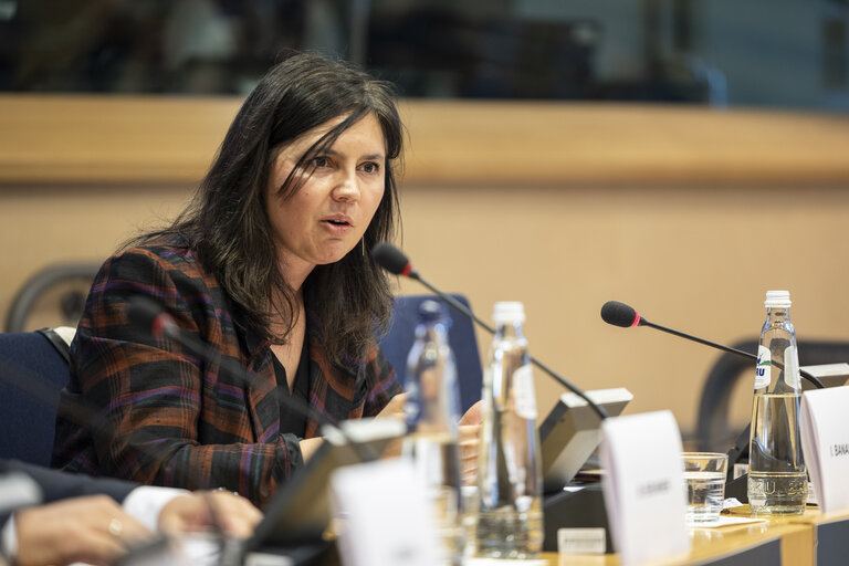 Article 17 dialogue on Housing in the EU: Strategies for a Europe that Supports People, Families and Younger GenerationsArticle