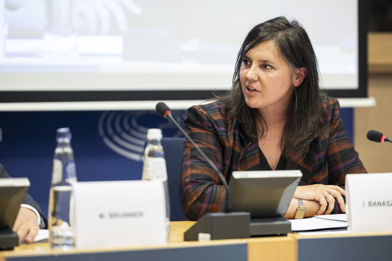 Article 17 dialogue on Housing in the EU: Strategies for a Europe that Supports People, Families and Younger GenerationsArticle
