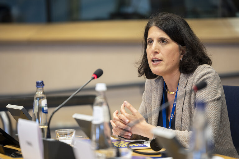 Article 17 dialogue on Housing in the EU: Strategies for a Europe that Supports People, Families and Younger GenerationsArticle