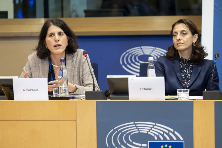 Photo 20: Article 17 dialogue on Housing in the EU: Strategies for a Europe that Supports People, Families and Younger GenerationsArticle
