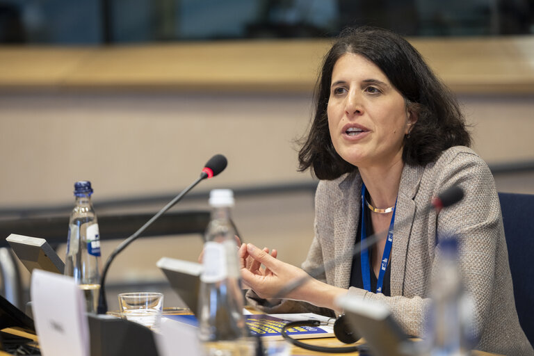 Article 17 dialogue on Housing in the EU: Strategies for a Europe that Supports People, Families and Younger GenerationsArticle