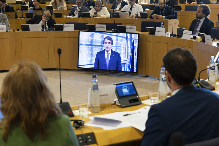 Article 17 dialogue on Housing in the EU: Strategies for a Europe that Supports People, Families and Younger GenerationsArticle