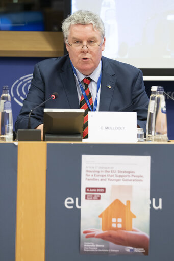 Photo 7: Article 17 dialogue on Housing in the EU: Strategies for a Europe that Supports People, Families and Younger GenerationsArticle