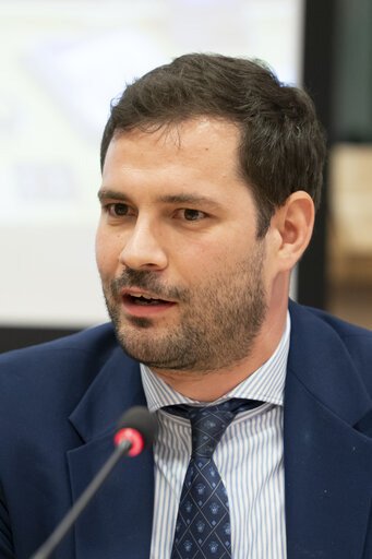 Photo 5: Article 17 dialogue on Housing in the EU: Strategies for a Europe that Supports People, Families and Younger GenerationsArticle